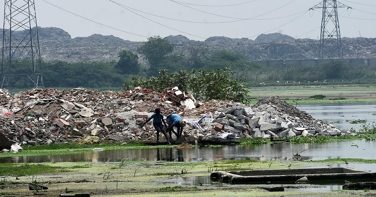 No fixed 1-km buffer around Pallikaranai Ramsar site: Wetland Authority tells Madras HC