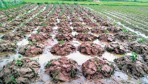 Image for representational purpose only. (File Photo | Express)
