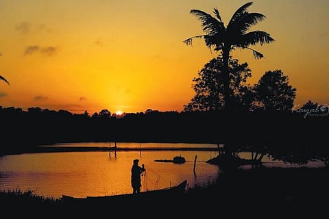 Vellayani lake