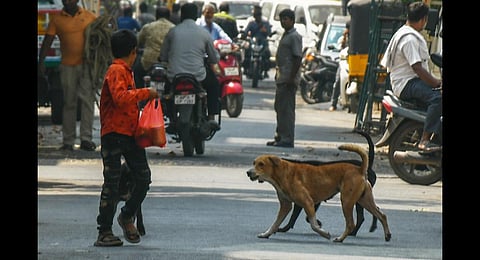 Image used for representative purpose only. (File photo | EPS)
