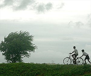 (File Photo | EPS)