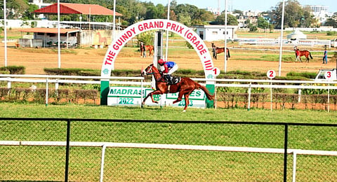 Representational image of Madras Race Club 