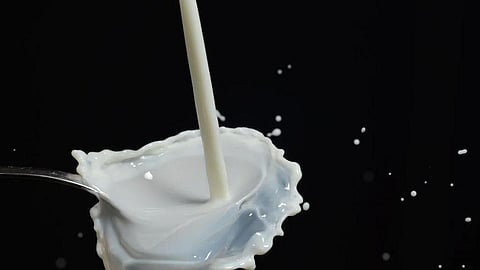 Milk