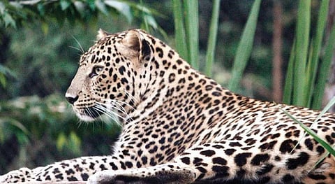 Image used for representational purpose only.