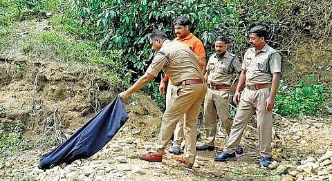 ​  The Konni Striking Force personnel releasing a python into the deep forest after it was rescued from human residential area | File photo  ​