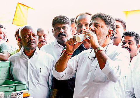 Karnataka Congress President DK Shivakumar visits a Nandini dairy stall, in Hassan, Karnataka. (Photo | PTI)