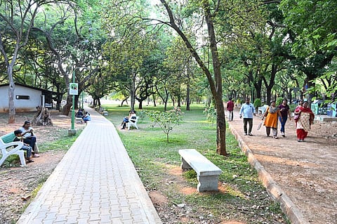 People take a walk at Cubbon park in Bengaluru. (Photo | Nagaraja Gadekal, EPS)