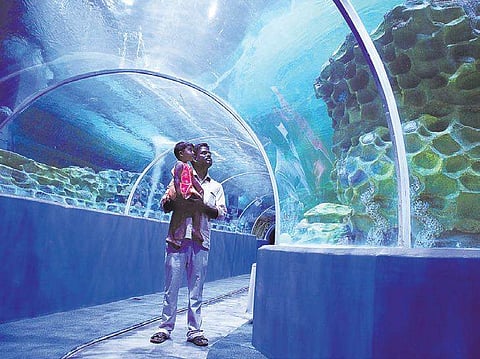 VGP Marine Kingdom Image used for representational purpose only. (File Photo)