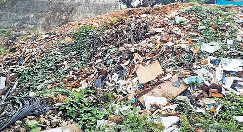 A heap of waste used for representational purpose | Shainu Mohan
