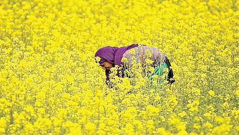 Image used for representational purposes only.(File Photo)