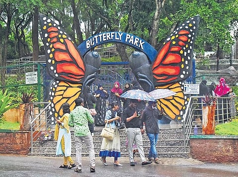 Visitors at the Nehru Zoological Park Photo | S Senbagapandiyan)