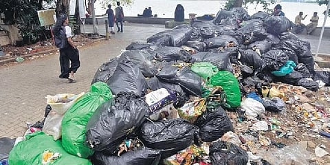 A heap of garbage at Marine Drive. Even after the High Court ordered to remove waste dumped in public places, no action has been taken  | A Sanesh