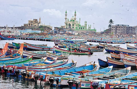 Mechanised boats to return to shore as 52-day trawl ban begins on June 10