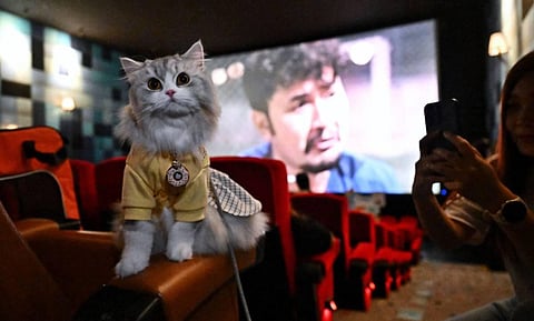 (Photo | AFP)