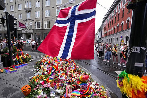 Representational image of Norwegian flag.
