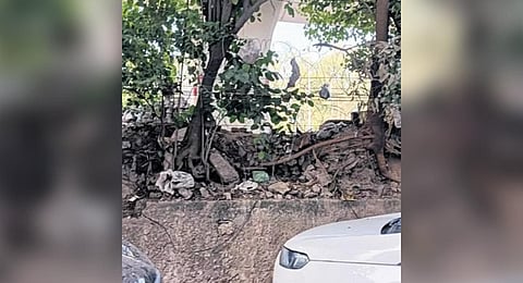 Delhi's Keshav Puram residents troubled by petty crime