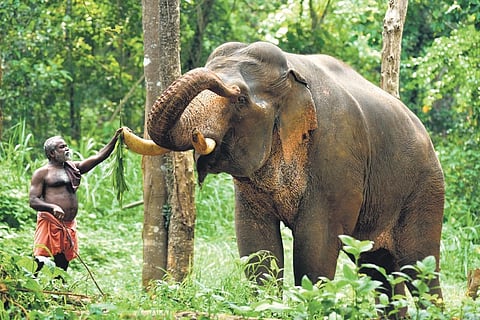 Image used for representational purpose