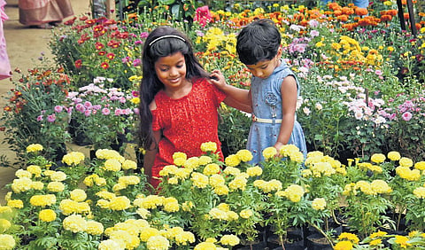 Image used for representational purpose only. (File Photo)
