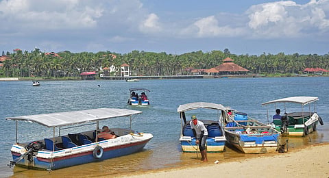 Poovar beach and backwaters. (Photo | B P Deepu)