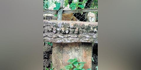 ​  A sculpted panel found from the pond  ​