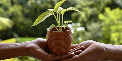 Image used for representational purpose only. (File Photo)