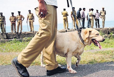 K9 squad. (Photo | Express)