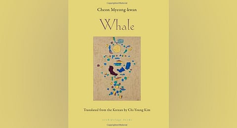Whale.