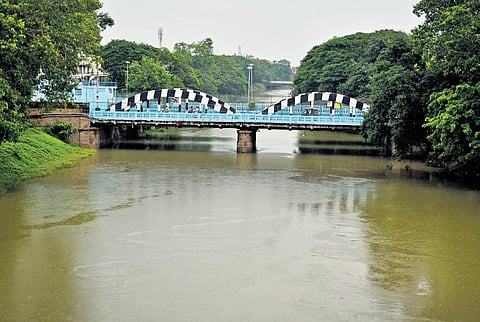 Canals in Vijayawada after VMC takes up cleanup drive I Prasant Madugula