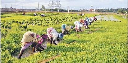The government has shown interest in the idea based on a petition filed by Tamil Nadu Plot Promoters Association. 