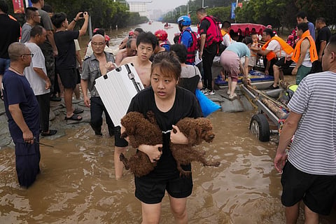 A woman carries her pet dogs as residents are evacuated on rubber boats through floodwaters in Zhuozhou in northern China's Hebei province. (Photo | AP)