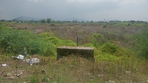 The lake encroached by Seemai Karuvelam trees in Anukkur village in Perambalur district | Express