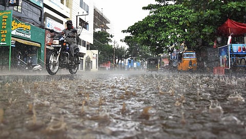 Heavy rain in Vijayawada on Friday. (Photo |  P Ravindra Babu)