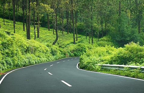 Image of the Ooty-Gudalur national highway, used for representational purposes only.