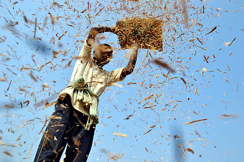 Image used for representational purpose. (File photo | PTI)