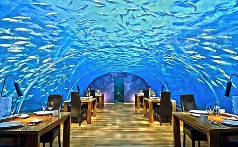 Aqua Marine Park (Tunnel Aquarium) project in Hyderabad.