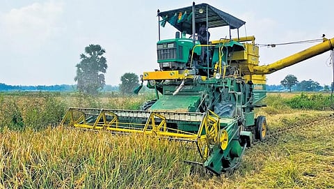A harvesting machine at work at a samba paddy field. Image used for representational purpose. | Express