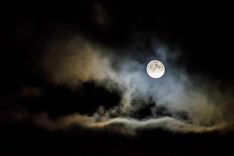 Representational image (Pexels)
