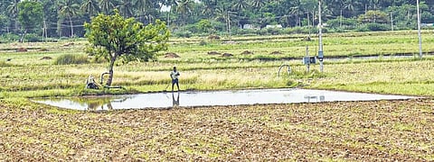 For representational purpose (Photo | MK Ashok Kumar, EPS)