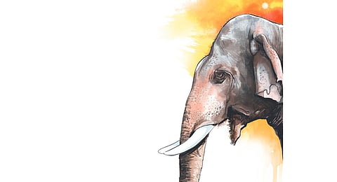 Image used for representational purpose only. (Express IIlustration)