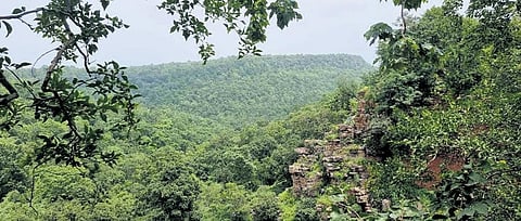 Kuno National Park