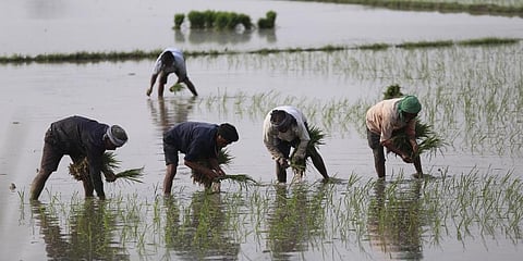 Image used for representational purpose. (File photo | PTI)