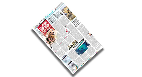 Check out this week's Xplore on environment