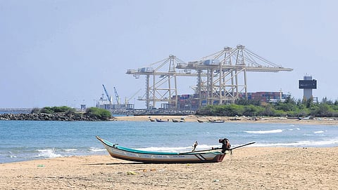 Port officials claim they have assessed the biodiversity and fulfilled ToR | Express