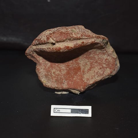 Fragment of snake figurine made of terracotta found in Keeladi