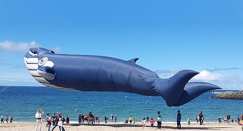 Participants from Thailand, Vietnam, Indonesia, Singapore, France, India, and Malaysia will be adorning the sky at Mahabalipuram.