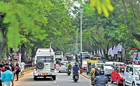 Trees lining the Vellayambalam-Corporation Office Road. (Photo | B P Deepu)