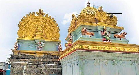 (Photo: Chithra Madhavan)