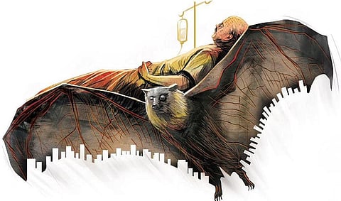 Image used for representational purpose only.