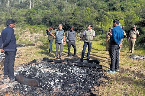 NTCA team inspecting Nilgiris on Monday after recent tiger deaths  | Express