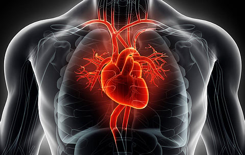Image used for representational purpose.